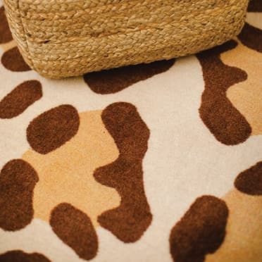 COORDINATING RUGS