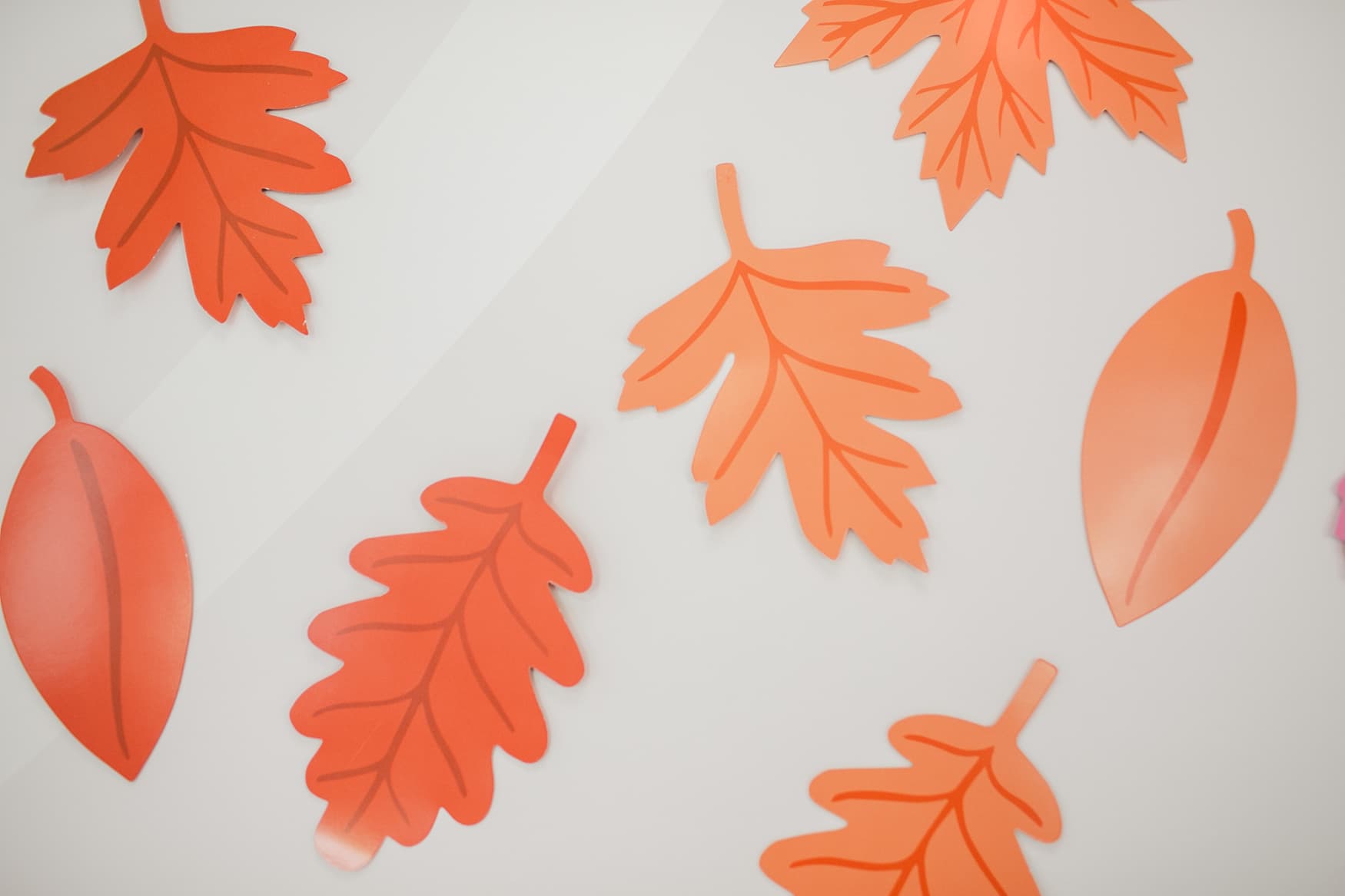 Fall inspired Classroom Resources for Teachers.