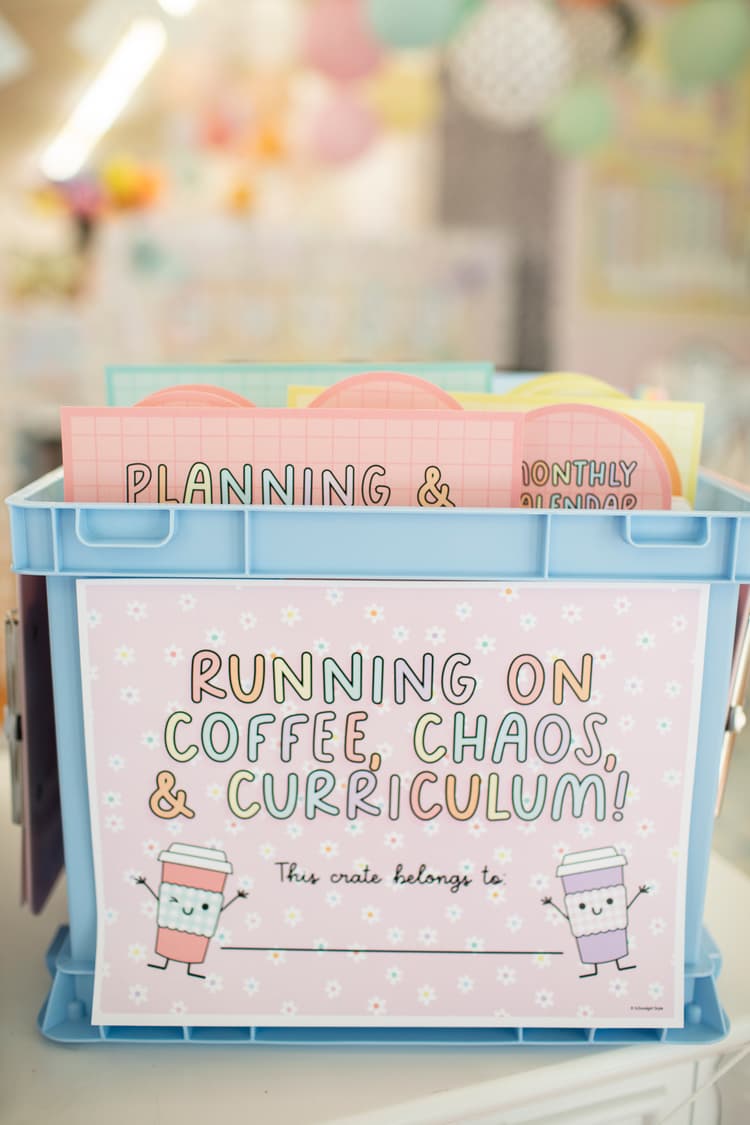Classroom Organizational Bins