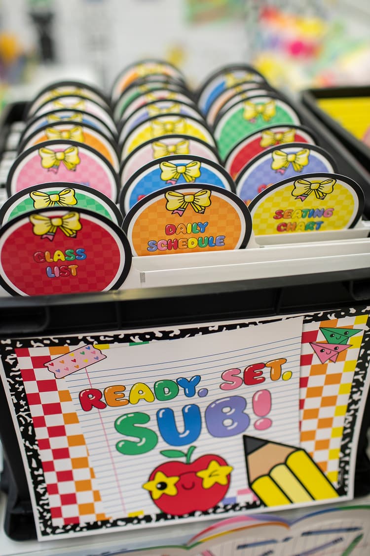 Classroom Organizational Bins